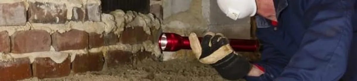 Pest control technician inspecting a crawl space for ant activity and entry points in Grand Rapids, MI