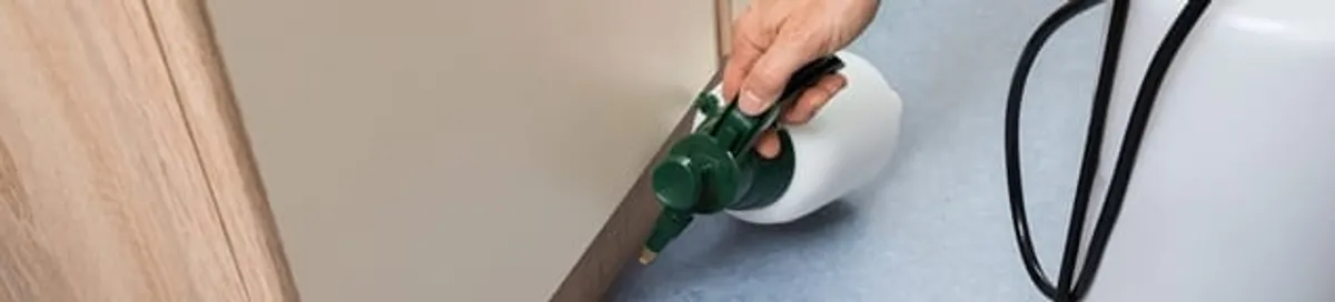 Bed bug exterminator treating baseboards and cracks with targeted spray in Grand Rapids, MI