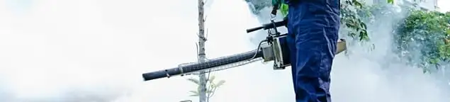Pest control technician fogging an outdoor area for insect control in Grand Rapids, MI