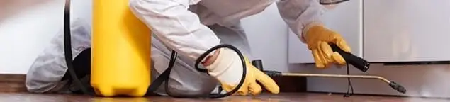 Roach exterminator treating cracks and crevices along kitchen baseboards in Grand Rapids, MI