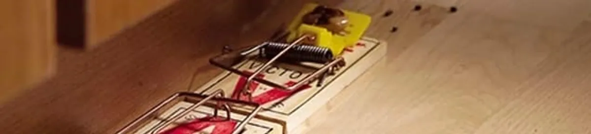 Rodent trap set indoors for rodent control and prevention in Grand Rapids, MI